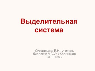 Презентация для подготовки к ОГЭ, ЕГЭ по биологии. Тема: Выделительная система