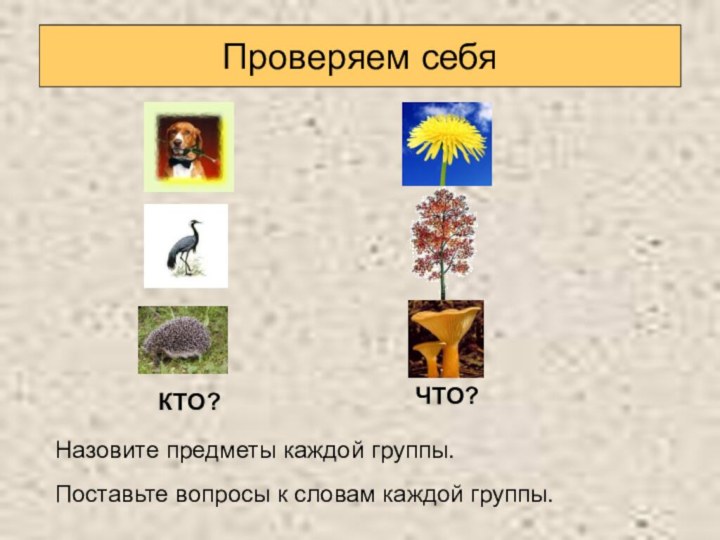 Проверяем себяКТО?ЧТО?Назовите предметы каждой группы.Поставьте вопросы к словам каждой группы.