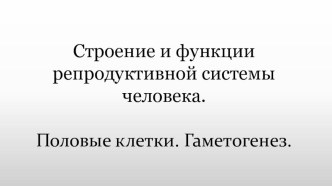 Презентация по биологии на тему: Строение и функции репродуктивной системы человека (8 класс).