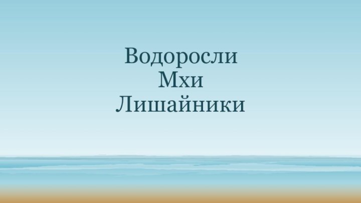 Водоросли Мхи Лишайники