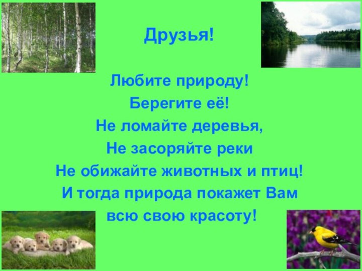 Друзья!Любите природу!Берегите её!Не ломайте деревья,Не засоряйте рекиНе обижайте животных и птиц!И тогда