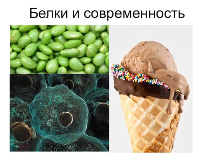 Белки и современность