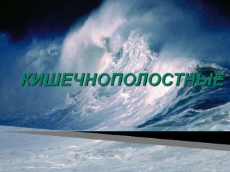 Кишечнополостные животные