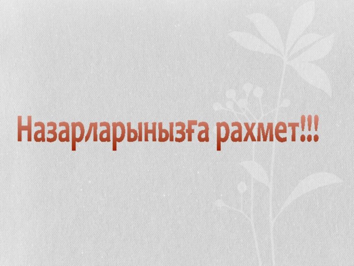 Назарларынызға рахмет!!!