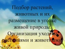 Подбор растений, животных и их размещение в уголке живой природы. Организация ухода за растениями и животными