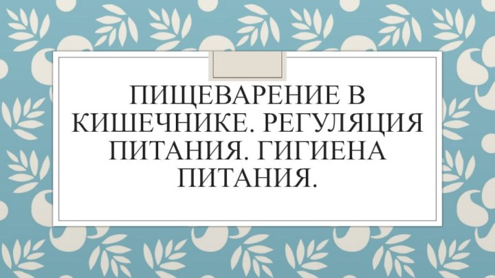 Пищеварение в кишечнике. Регуляция питания. Гигиена питания.