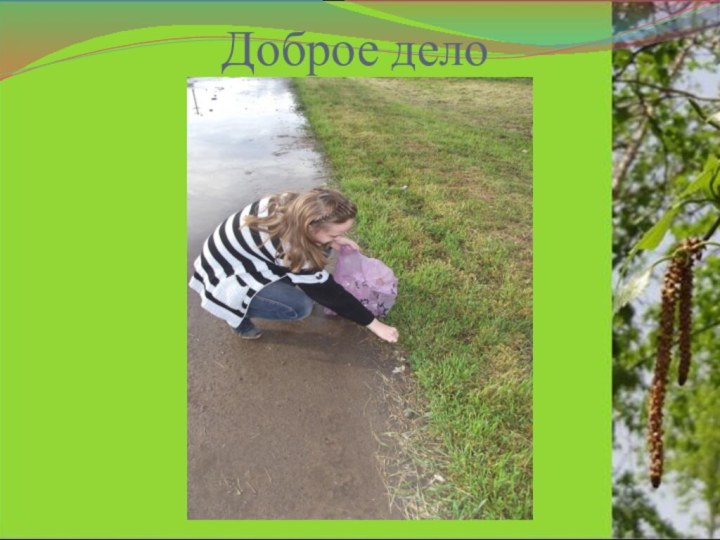 Доброе дело