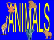 Презентация по английскому языку для 6 класса на тему Animals