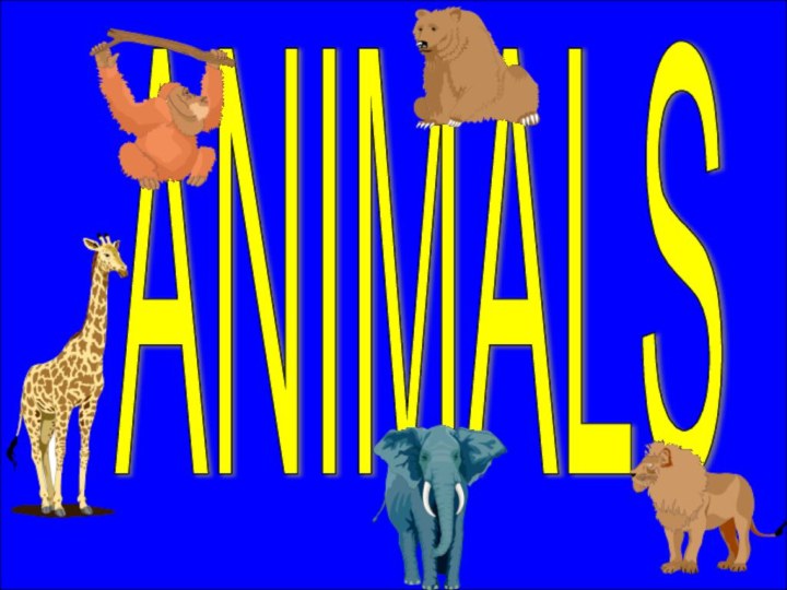 ANIMALS