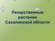 Презентация по краеведению по теме: Лекарственные растения Сахалинской области