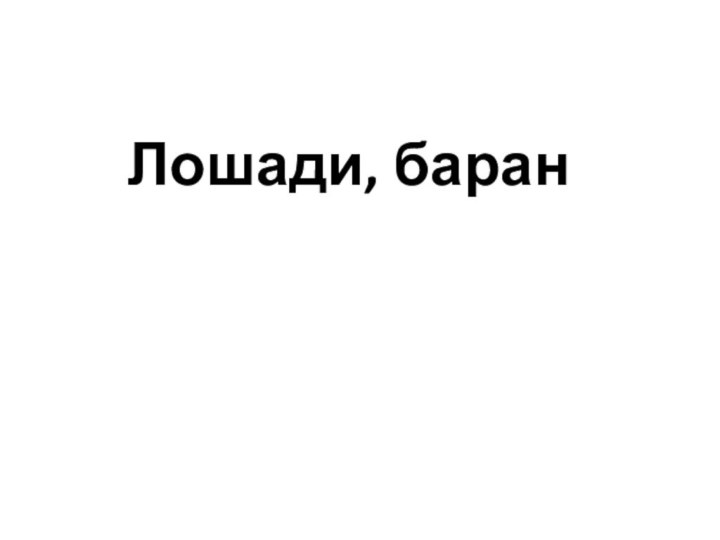 Лошади, баран