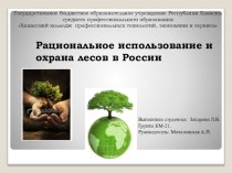 Презентация к уроку Рациональное использование и охрана лесов в России