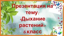 Презентация по биологии на тему Дыхание растений (6 класс)