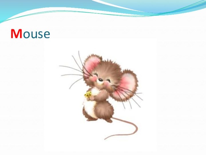 Mouse