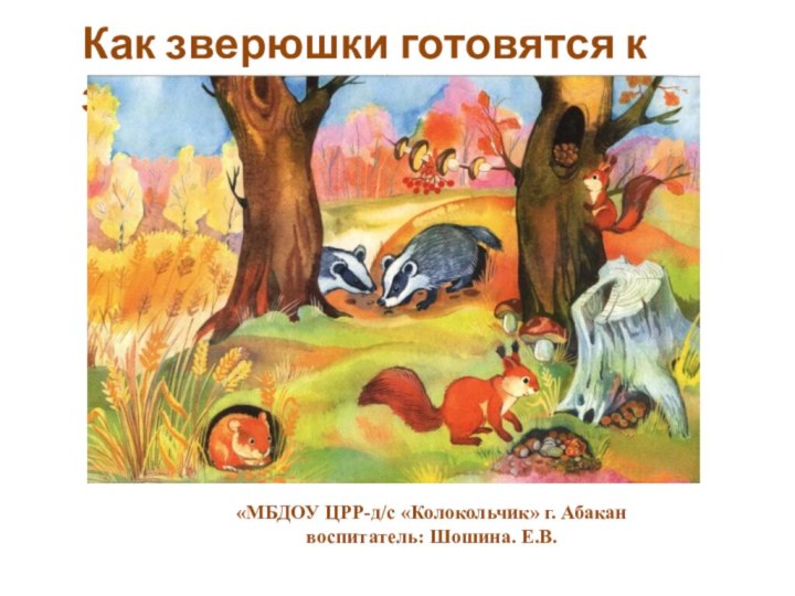 Как зверюшки готовятся к зиме?«МБДОУ ЦРР-д/с «Колокольчик» г. Абакан воспитатель: Шошина. Е.В.