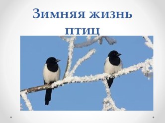 Презентация по окружающему миру 2 класс Зимняя жизнь птиц