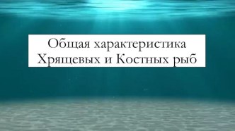 Презентация по биологии для 7 класса на тему Хрящевые и Костные рыбы