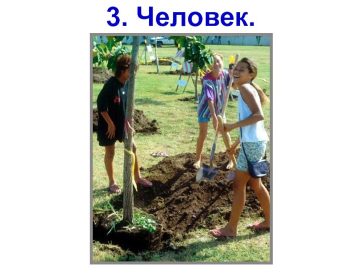 3. Человек.