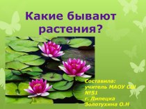 Презентация по окружающему миру на тему Какие бывают растения (2 класс)