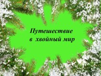 Презентация по биологии Путешествие в хвойный мир