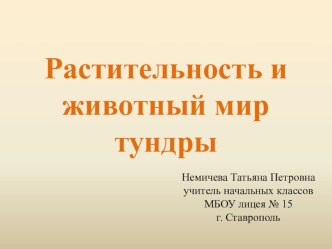 Кроссворд Растительность и животный мир тундры