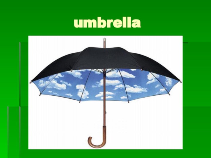 umbrella