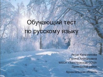 Презентация Обучающий тест по русскому языку для 3 класса