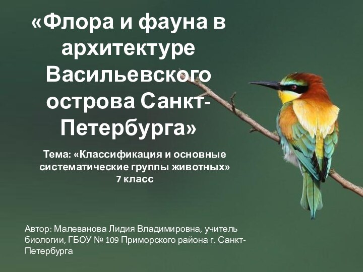 «Флора и фауна в архитектуре Васильевского острова Санкт-Петербурга»Автор: Малеванова Лидия Владимировна, учитель