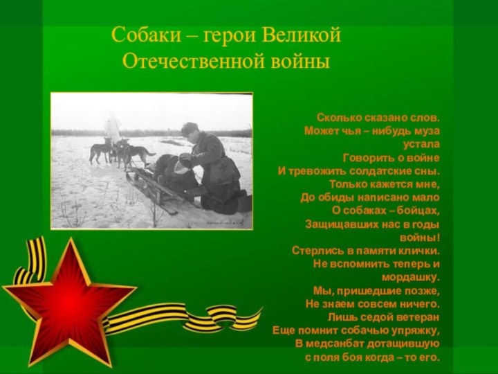 Собаки – герои Великой Отечественной войныСколько сказано слов.Может чья – нибудь муза