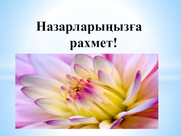 Назарларыңызға рахмет!