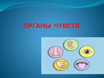 ОКРУЖАЮЩИЙ МИР ОРГАНЫ ЧУВСТВ