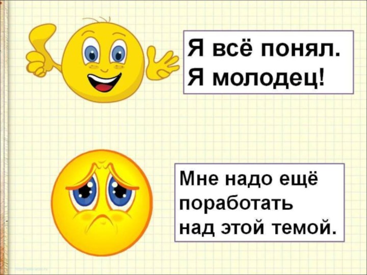 Орган осязания   Кожа «заведует» нашим пятым органом чувств – осязанием.