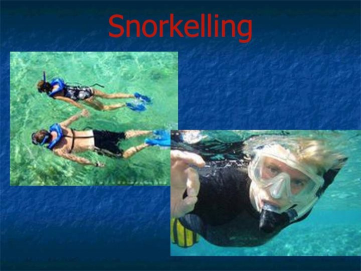 Snorkelling