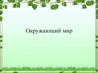 Презентация по окружающему миру на тему Ориентирование на местности