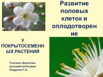 Презентация по биологии на тему Образование половых клеток и двойное оплодотворение у покрытосеменных растений