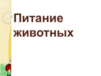 Презентация урока по окружающему миру Питание животных