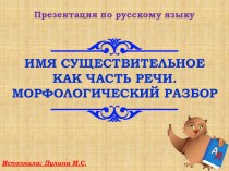 Презентация по русскому языку на тему Имя существительное как часть речи. Морфологический разбор