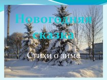 Презентация Стихи о зиме Платовой А.Е.
