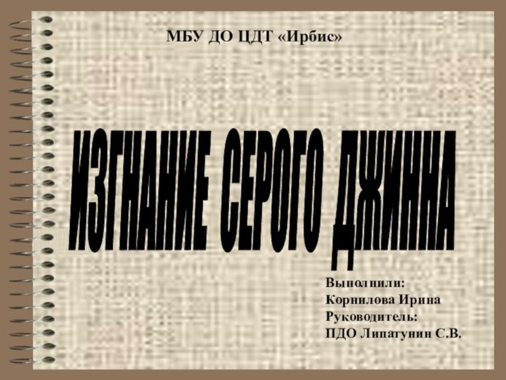 ИЗГНАНИЕ СЕРОГО ДЖИННА Выполнили: Корнилова ИринаРуководитель:ПДО Липатунин С.В.МБУ ДО ЦДТ «Ирбис»