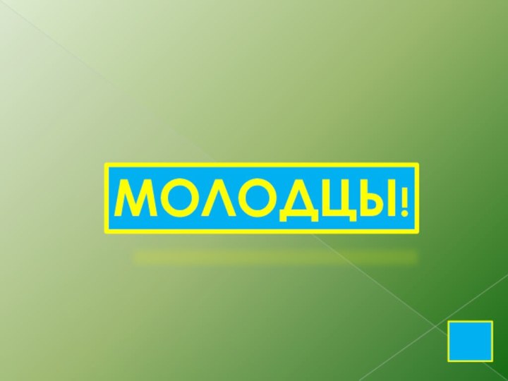 МОЛОДЦЫ!