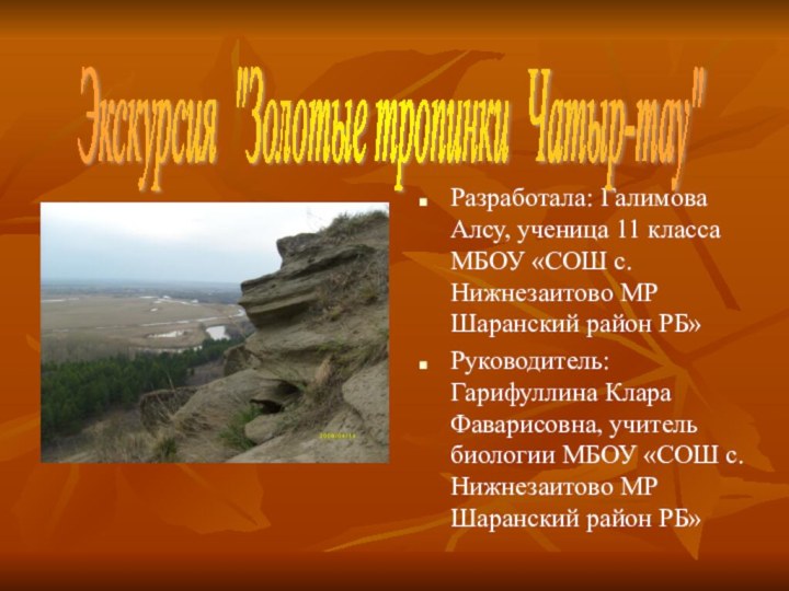 Разработала: Галимова Алсу, ученица 11 класса МБОУ «СОШ с. Нижнезаитово МР Шаранский