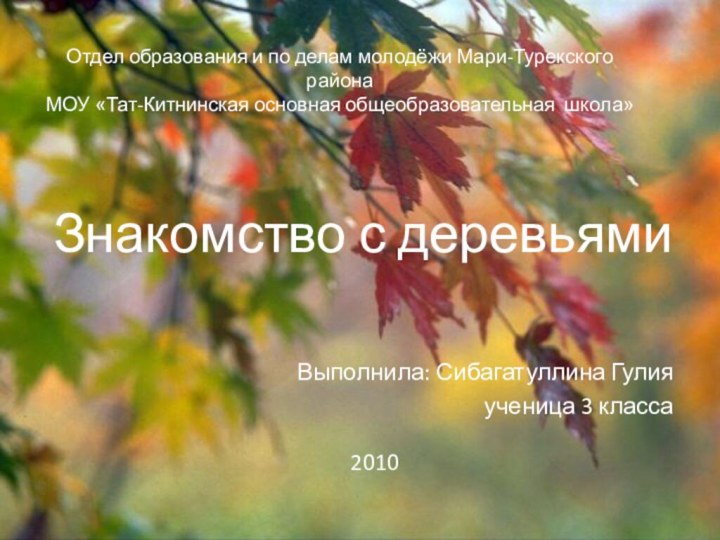 Отдел образования и по делам молодёжи Мари-Турекского района МОУ «Тат-Китнинская основная