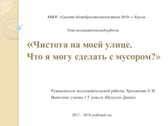 Презентация проекта  Чистота на моей улице