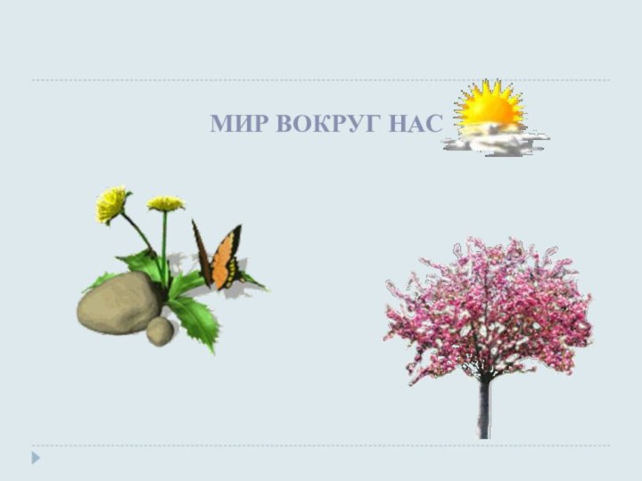 МИР ВОКРУГ НАС