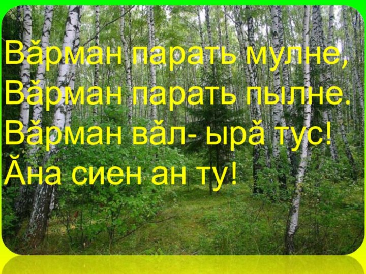 Вǎрман парать мулне, Вǎрман парать пылне. Вǎрман вǎл- ырǎ тус! Ăна сиен ан ту!