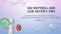 Презентация к выступлению Экспертиза АОП