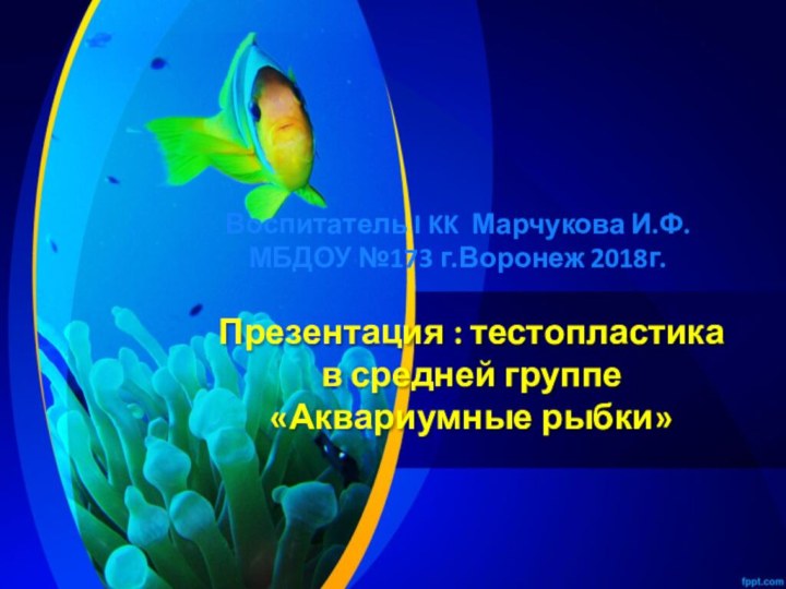 Презентация : тестопластика в средней группе «Аквариумные рыбки»Воспитатель I KK Марчукова И.Ф. МБДОУ №173 г.Воронеж 2018г.