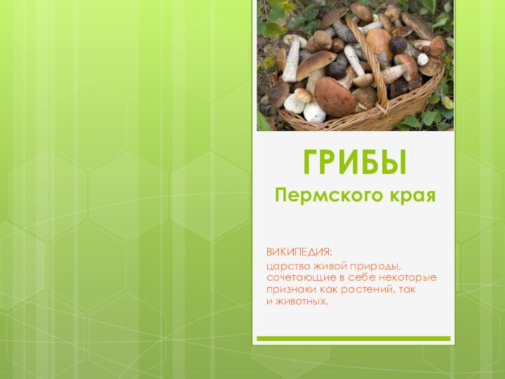 ГРИБЫ  Пермского краяВИКИПЕДИЯ:  царство живой природы, сочетающие в себе некоторые признаки как растений, так и животных.