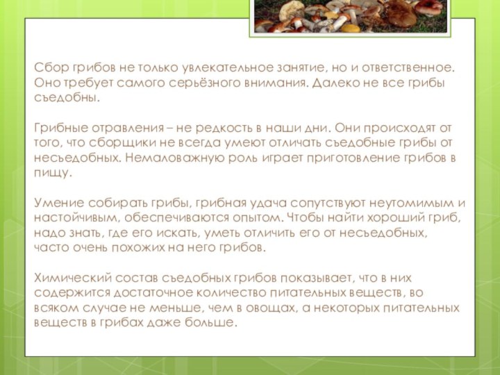 Сбор грибов не только увлекательное занятие, но и ответственное. Оно требует самого