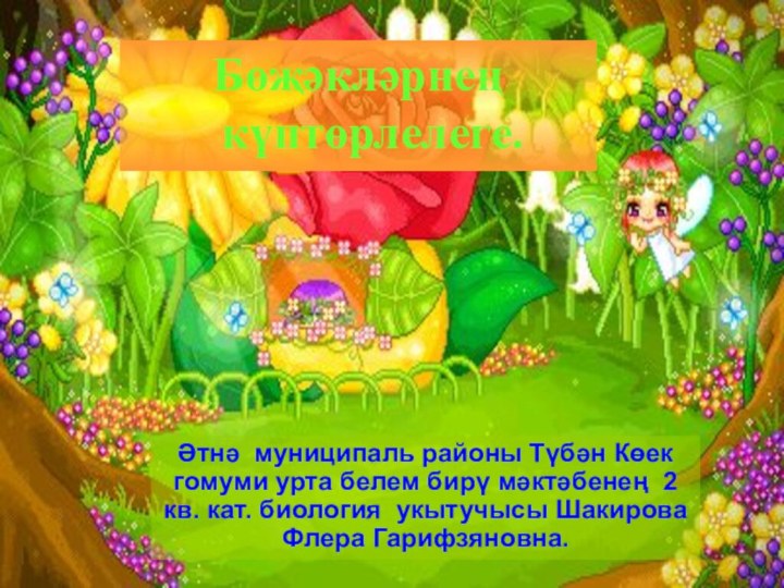 Бөҗәкләрнең күптөрлелеге.Әтнә муниципаль районы Түбән Көек гомуми урта белем бирү мәктәбенең 2